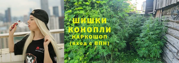 спиды Алексеевка