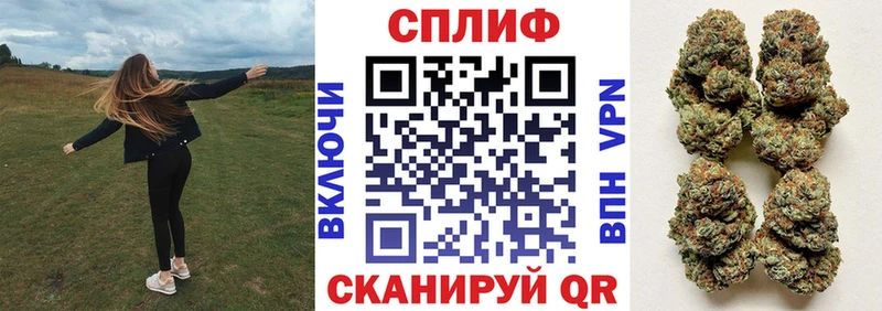 Шишки марихуана ГИДРОПОН Бавлы